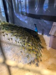 -酷嗒动物文化乐园(cutezoo西溪乐天城店)