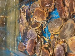 -新丁香海鲜酒店(银海商贸城店)