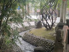 -温江公园