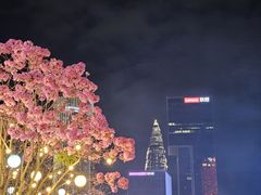 -深圳湾万象城(南山店)