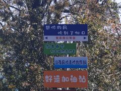 -崂山仰口游览区