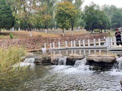 -青龙湖公园