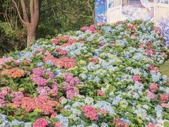 -武汉园博园(武汉自然博物馆)