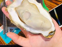 -蚝堡海鲜·威海菜·海肠捞饭·烧烤·亚洲吃蚝公司(幸福门店)
