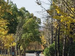 -黄陂区野村谷景区