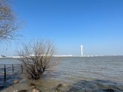 -上海吴淞炮台湾国家湿地公园