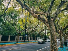 -一尺花园(安和花园店)