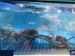 -日进一片海.生腌海鲜火锅.宵夜烧烤(三里屯总店)