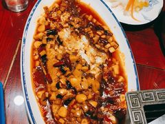 -邵年鸽(杨庄店)
