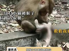 -昆明动物园
