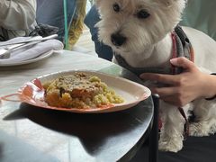 -the rug 飞毯 (朝阳公园店)