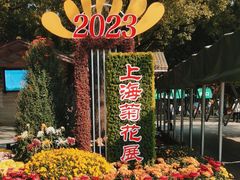 -上海共青森林公园