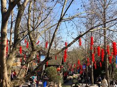 -黄龙溪古镇