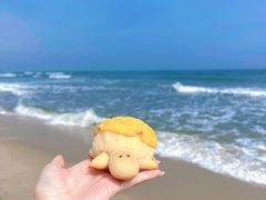-广东惠东海龟国家级自然保护区