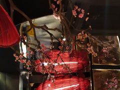 -老板恋上鱼(印象城店)