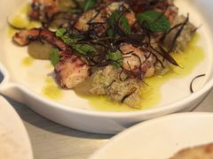 八爪鱼-Ocean's Table 欧舍