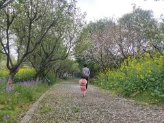 -东钱湖水上乐园(南门)