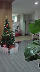 -榕树上·瑜伽普拉提