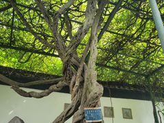 -苏州园林博物馆