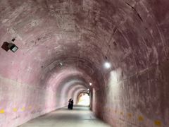 -巢湖姥山岛