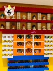 -KIDSLAND(北京蓝色港湾店)