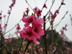 -贵阳蓬莱仙界