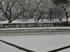 -辽宁大学(崇山校区)