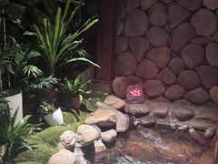 -漢頓温泉度假酒店