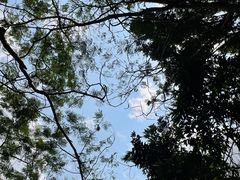 -深圳湾公园(南山区)