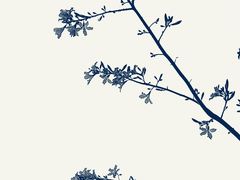 -二沙岛艺术公园