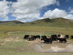 -扁都口生态休闲旅游区