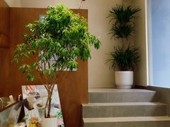 -LOTTA COFFEE(安居博文苑店)