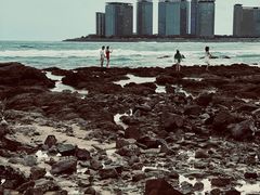 -蟹老板的海鲜