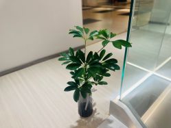 -YesYoga瑜伽普拉提塑形体雕馆