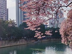 -红星桥(地铁站)