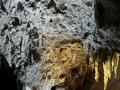 -怀托摩萤火虫洞