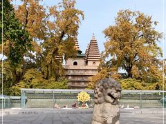 -北京石刻艺术博物馆(五塔寺)