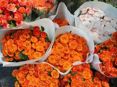 -循礼门鲜花花市(武汉循礼门店)