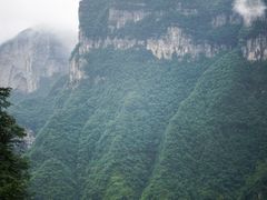-鹿院坪生态旅游景区