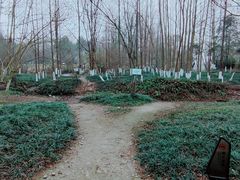 -桤木河湿地公园