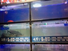 水产区-爱妻鱼•老体北重庆水煮鱼•川菜(白云路店)