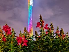 -海心沙亚运公园