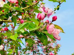 -永定河休闲森林公园