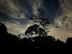 -夜间野生动物园