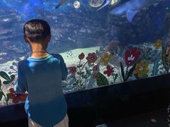 -烟台海昌鲸鲨海洋公园