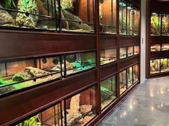 -帕帕拉兹宠物(亚洲旗舰店)