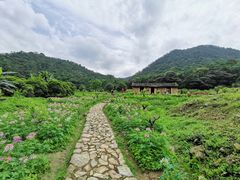 -广州市石门国家森林公园