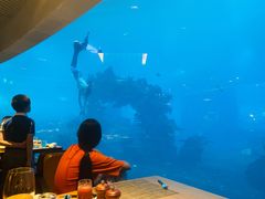 -海棠湾洲际-涛·海底餐厅·美人鱼·自助餐·海底隧道