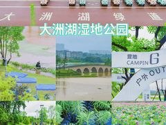 -潜山国家森林公园