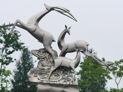 -广富林郊野公园
